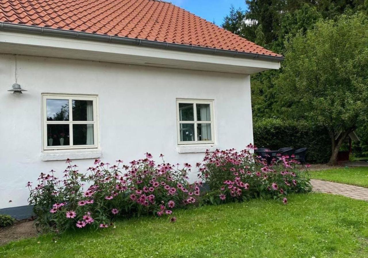 Alloggio per agriturismo Lille Grynborg